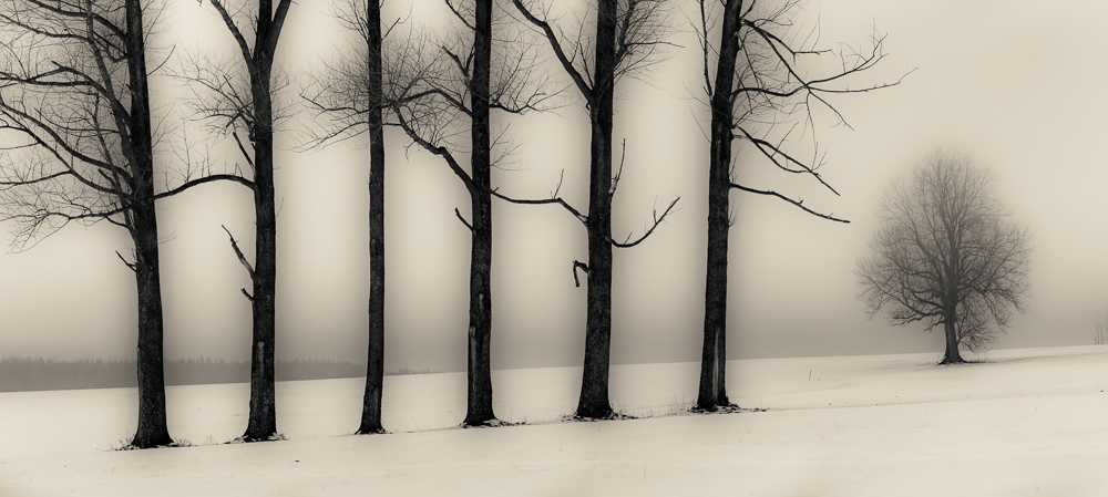 Platz 5 Robert Seitz